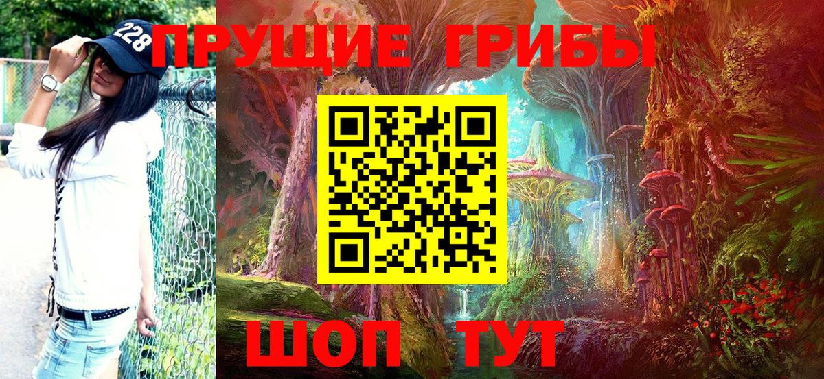 Кандалакша  что такое наркотик  Вход с VPN  Псилоцибиновые грибы Magic Shrooms 